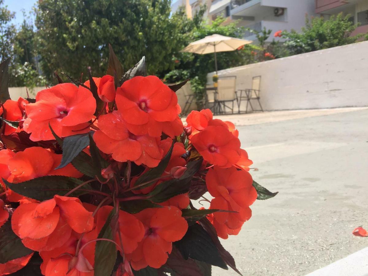 Renovated Apt 100M From Beach Wifi Ac Anavyssos Dış mekan fotoğraf